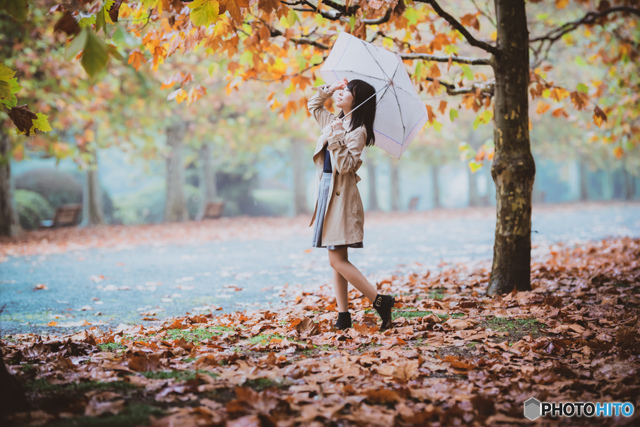 人と写真をつなぐ場所 sakamotophot ファン登録 秋雨コメント0件最近お気に入り登録したユーザータグ撮影情報EXIFデータ撮影地