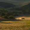 60-600mm F4.5-6.3 DG DN OS [\j[Ep]ŎBeʐ^