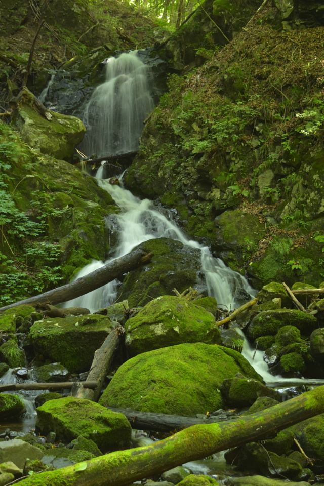 ＊ ご確認用 １８ ＊ 楽天市場】【ふるさと納税】スリクソン ZXi5 アイアン6本セット