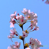 COOLPIX S9300ŎBeʐ^