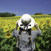 tWmY XC15-45mmF3.5-5.6 OIS PZ [ubN]ŎBeʐ^