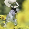 FE 85mm F1.4 GM SEL85F14GMŎBeʐ^
