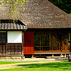 AI Nikkor 85mm F1.4SŎBeʐ^