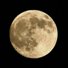 AF-S DX NIKKOR 55-300mm f/4.5-5.6G ED VRŎBeʐ^