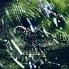 OLYMPUS OM-D E-M5 Mark II {fBŎBeʐ^