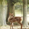 18-300mm F/3.5-6.3 Di III-A VC VXD (Model B061) [\j[Ep]ŎBeʐ^