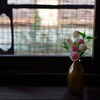 E 35mm F1.8 OSS SEL35F18ŎBeʐ^