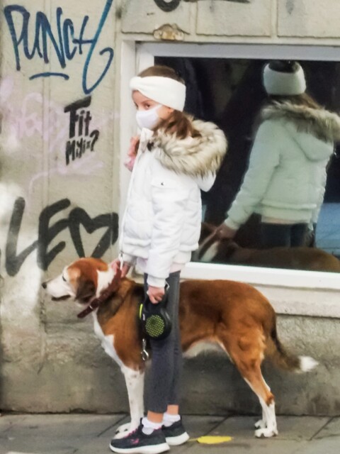 美少女と犬～ by shirokedi （ID：9942849） - 写真共有サイト:PHOTOHITO