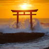 20-200mm F3.5-6.3 DG [\j[Ep]ŎBeʐ^