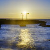 24-70mm F2.8 DG DN II [\j[Ep]ŎBeʐ^