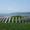 FinePix Z5fdŎBeʐ^