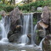 FinePix S9000ŎBeʐ^
