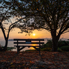 NIKKOR Z 26mm f/2.8ŎBeʐ^