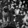 M.ZUIKO DIGITAL ED 45mm F1.2 PROŎBeʐ^