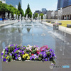 PowerShot A720 ISŎBeʐ^