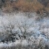 LUMIX DMC-FZ18ŎBeʐ^