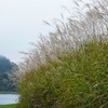 LUMIX DMC-FZ18ŎBeʐ^