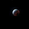 150-600mm F5-6.3 DG OS HSM Contemporary [Lmp]ŎBeʐ^