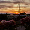 LUMIX G 25mm/F1.7 ASPH. H-H025-K [ubN]ŎBeʐ^