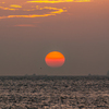 350 DSLR-A350 {fBŎBeʐ^