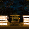 17-50mm F2.8 EX DC HSM [y^bNXp]ŎBeʐ^