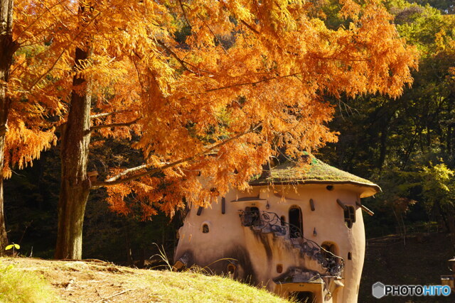 ムーミン谷の秋 by ボヌエール （ID：12111668） 写真共有サイトPHOTOHITO