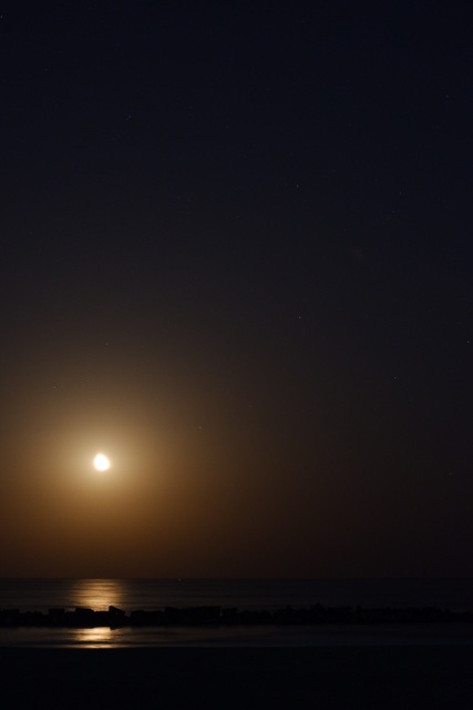 月明かりに照らされて by gorigoro （ID：9563905） 写真共有サイトPHOTOHITO