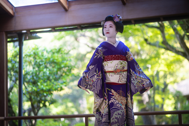 新樹光 by 遊色効果 (ID:11756490) 写真共有サイトPHOTOHITO