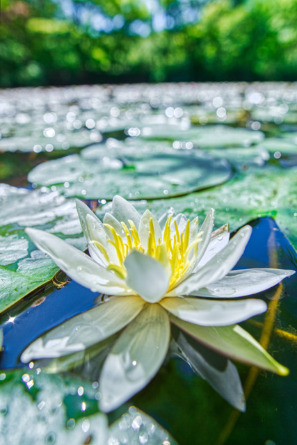  by AllFree ID 9665362 - PHOTOHITO