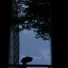 LUMIX DMC-TX1ŎBeʐ^