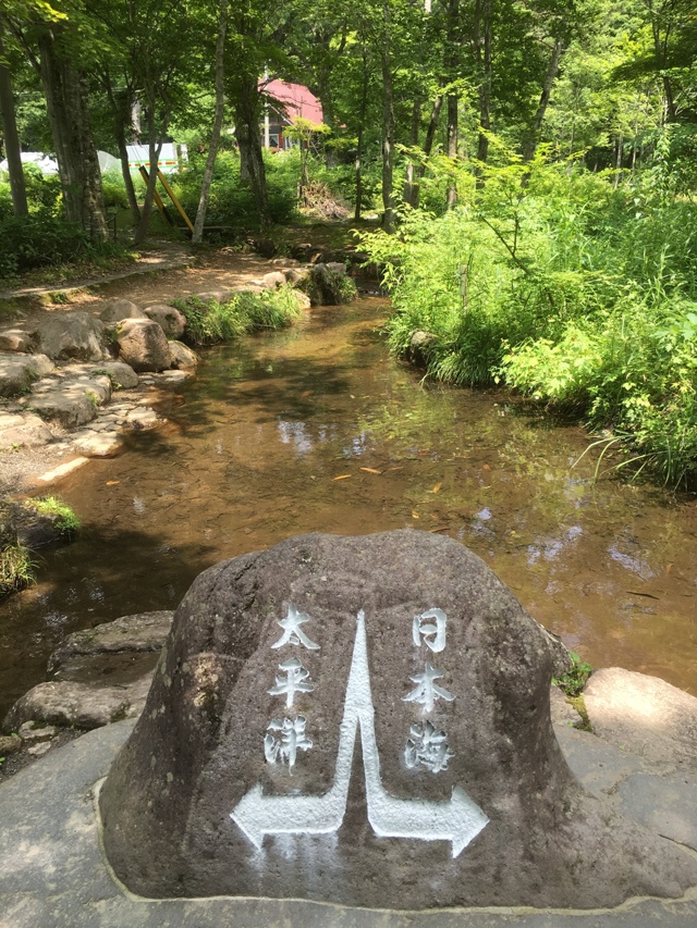 人と写真をつなぐ場所                        ma333ma                ファン登録        ひるがの分水嶺公園コメント4件同じタグが設定されたma333maさんの作品最近お気に入り登録したユーザータグ撮影情報EXIFデータ撮影地