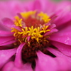 30mm F1.4 DC DN [}CNtH[T[Yp]ŎBeʐ^
