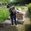 OLYMPUS PEN E-PL8 {fBŎBeʐ^