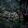 12mm F2.0 NCS CS Vo[ [tWtCp]ŎBeʐ^