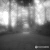 Obscura 16 [}CNtH[T[Yp]ŎBeʐ^