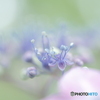 LUMIX DC-S5M2 {fBŎBeʐ^