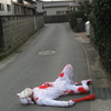 PowerShot A590 ISŎBeʐ^