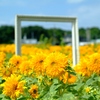 FinePix S3 Pro {fBŎBeʐ^
