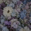 PENTAX *ist DS {fBŎBeʐ^
