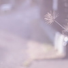 E-620 {fBŎBeʐ^