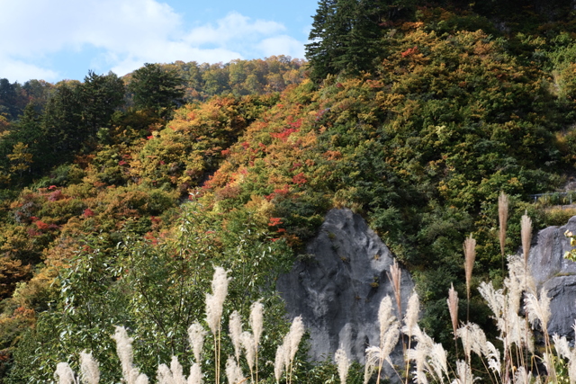 めぐる季節に想いも彩られて by 風涼 (ID:12094581) 写真共有サイトPHOTOHITO