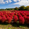MF 14mm F2.8 MK2 [\j[Ep]ŎBeʐ^