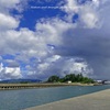 LUMIX DMC-FZ300ŎBeʐ^