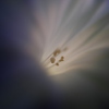 tWmY XF23mmF1.4 RŎBeʐ^