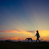 tHNg_[ NOKTON classic 35mm F1.4 II SC VMŎBeʐ^