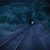 23mm F1.4 DC DN [\j[Ep]ŎBeʐ^