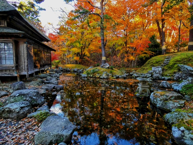 パナソニック LUMIX DC-FZ85 投稿動画 - 価格.com