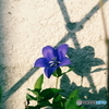 AF ZOOM 35-105mm F3.5-4.5 NewŎBeʐ^