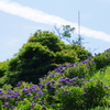 HD PENTAX-DA 70mmF2.4 Limited [Vo[]ŎBeʐ^