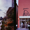 PENTAX 17 [_[NVo[]ŎBeʐ^